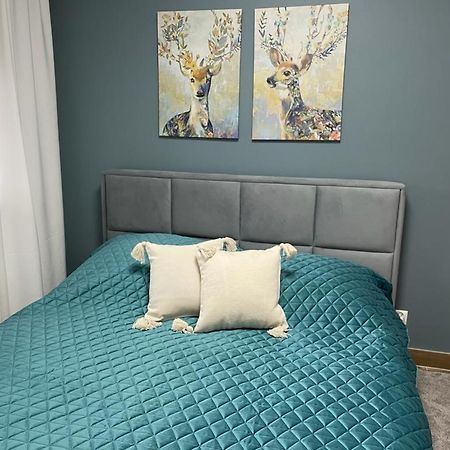 Apartament Sosnowy Zakatek Gliwice Eksteriør billede